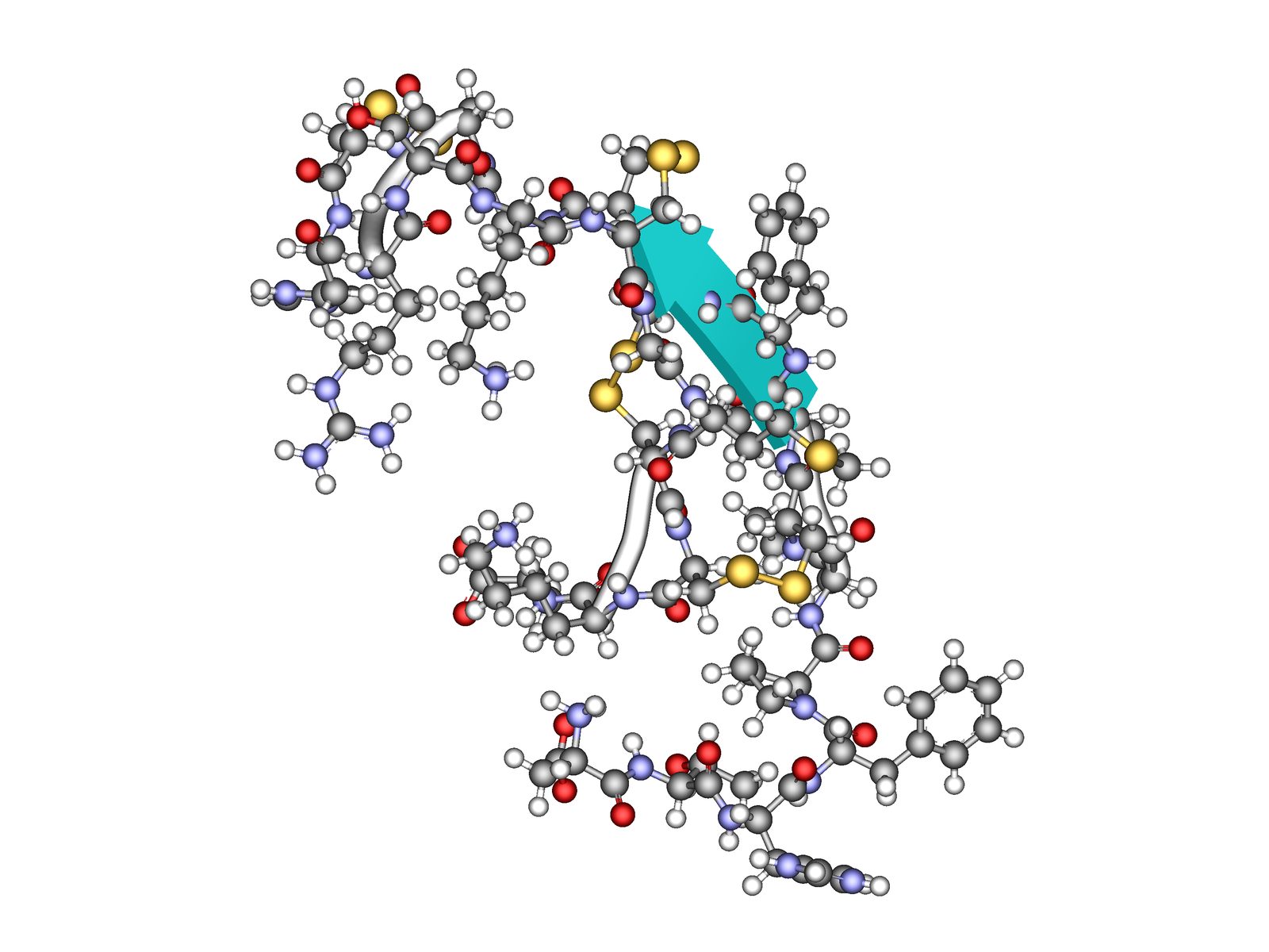 A ball-and-stick model of the hepcidin molecule, a short chain of amino acids folded into a hairpin, with carbon atoms in grey, nitrogen in blue, oxygen in red, hydrogen in white and sulfur in yellow, and a teal arrow marking one strand of the fold.