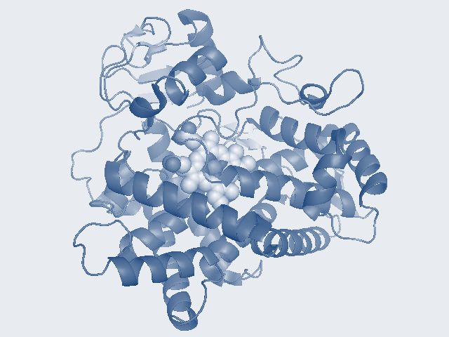 Ribbon model of the CYP2D6 enzyme in shades of navy on a pale background: coiled helices and loops of the protein chain surround a cluster of pale spheres, the haem group, near the centre.